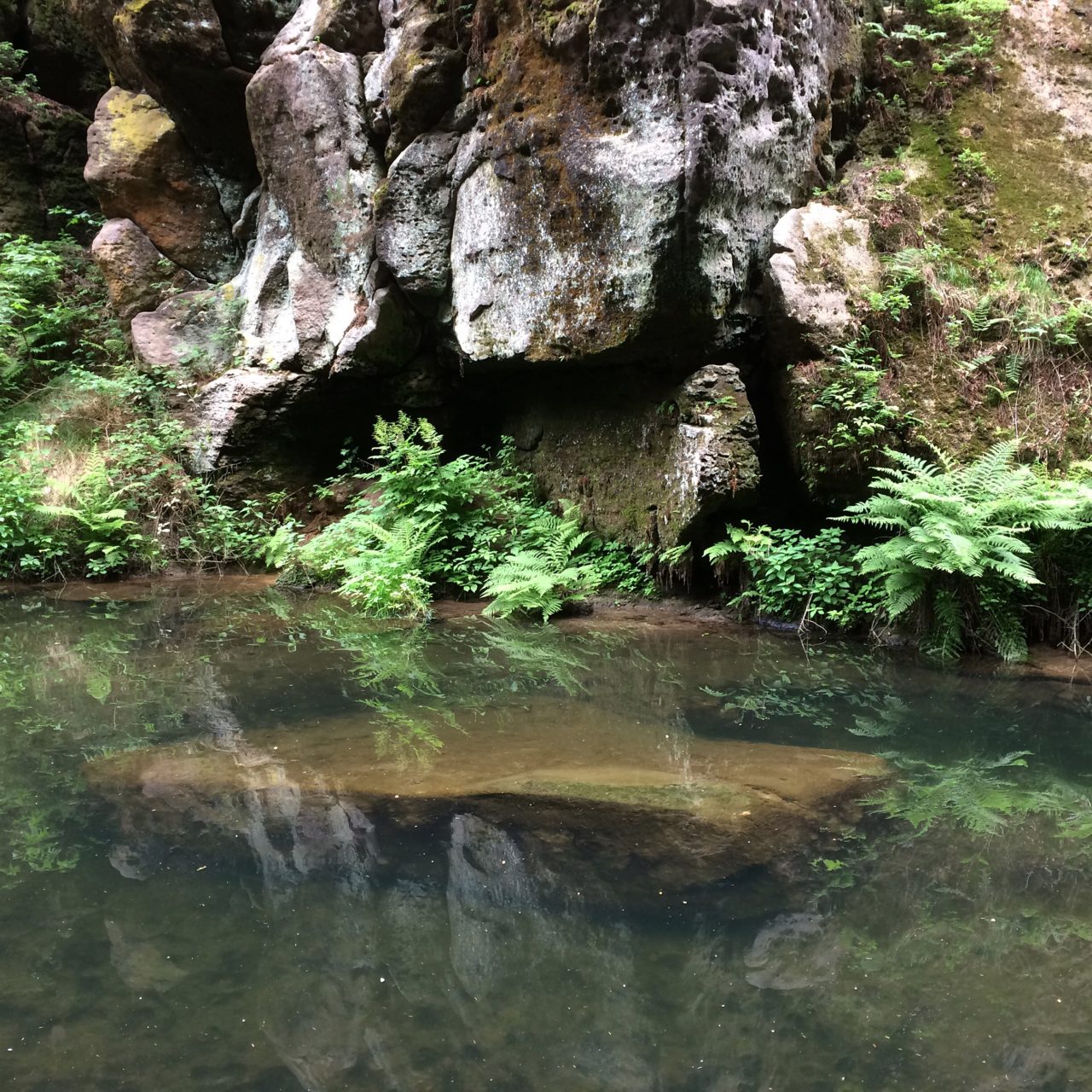 Kirnitzsch Fotografie Freydank